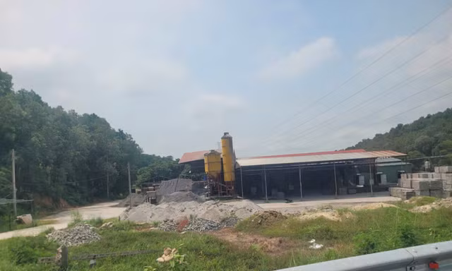 Hà Nội tháo dỡ hàng loạt nhà gỗ, nhà dạng container trên đất rừng
