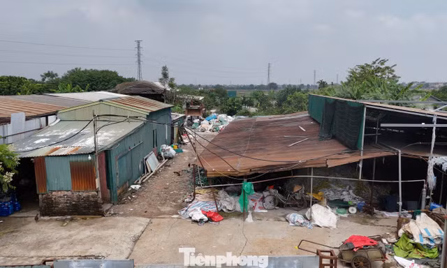 Hà Nội xử lý hàng trăm trường hợp vi phạm trên đất nông nghiệp 