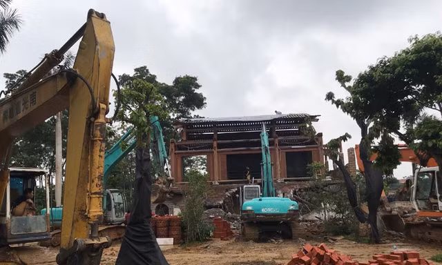 Hà Nội: Hơn 4.000ha đất của các Công ty nông, lâm trường chưa bàn giao 