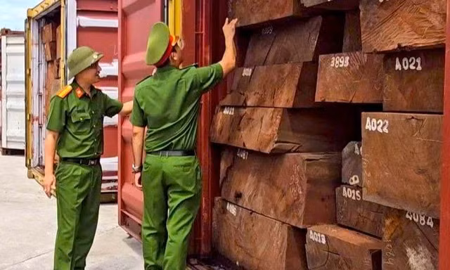 Cú đột kích lịch sử: Bắt giữ hơn 1,1 tấn ngà voi giấu tinh vi trong container chở gỗ