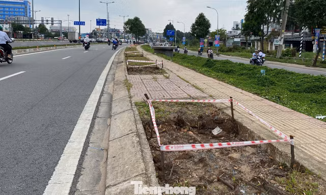 Đốn hạ gần 200 cây xanh để thi công Vành đai 2