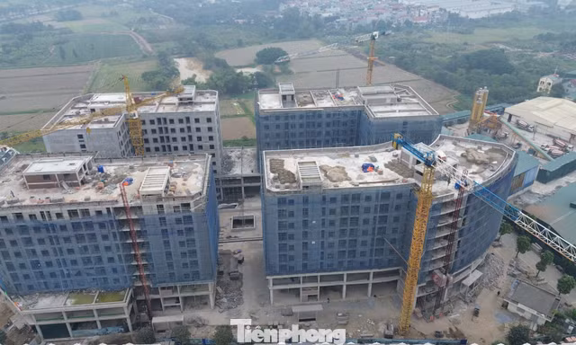 Hà Nội: Đề xuất lộ trình hoàn thành cải tạo, chỉnh trang 2.160 nhà tập thể, chung cư cũ