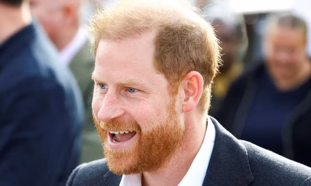 Ý định thực sự của Harry