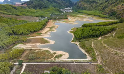 Nước hồ Lòng Đèn chuyển màu đen bất thường, người dân nghi từ trang trại nuôi 40.000 con lợn