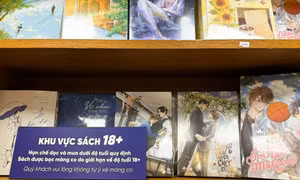 Tại sao giới trẻ thích đọc truyện đam mỹ?
