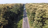 Ngỡ lạc vào phim khi đi trên con đường 5km xuyên rừng cổ thụ ở Đồng Nai