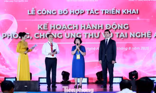 Cụ thể hóa mục tiêu quốc gia về ung thư vú tại Nghệ An