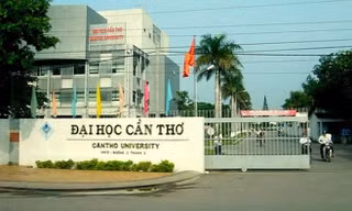 Sáp nhập 2 trường cao đẳng luật vào đại học