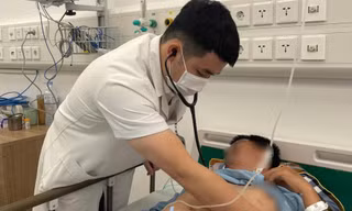 Thông tin mới nhất về sức khoẻ 8 người nhập viện sau vụ ngộ độc khí H₂S tại trang trại lợn