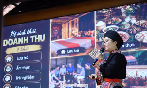 29 dự án xuất sắc lan tỏa khát vọng khởi nghiệp thanh niên nông thôn