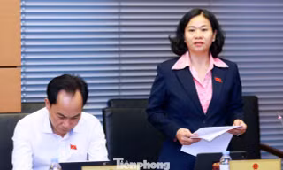 'Nếu xử phạt quá thấp, người vi phạm có thể coi tiền phạt là một khoản chi phí trong hoạt động kinh doanh'