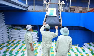 Hỗ trợ doanh nghiệp: Không chỉ ưu đãi, phải đúng nhu cầu