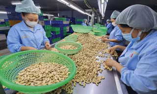 Nghịch lý mặt hàng top đầu thế giới của Việt Nam: Nhập khẩu cao hơn xuất khẩu
