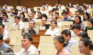 Hôm nay, Quốc hội thảo luận ba dự án luật về đất đai, nhà ở và bất động sản