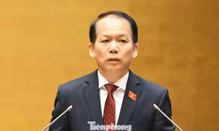Đề xuất thu hồi nếu quá 60 tháng chủ đầu tư không đưa đất vào sử dụng