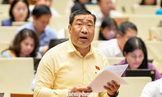 Quy định chung cư có thời hạn: Không để quyền tài sản hợp pháp của người dân bị phá dỡ theo một tòa nhà nguy hiểm