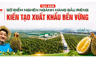Sáng mai, Báo Tiền Phong tọa đàm gỡ 'điểm nghẽn' ngành hàng sầu riêng