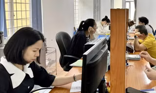 Ban Tổ chức Trung ương nêu định hướng số cấp phó của cơ quan, tổ chức 