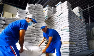 Đề xuất đánh giá tín nhiệm doanh nghiệp xuất khẩu gạo