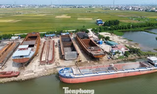 Bí thư Tỉnh ủy Ninh Bình khảo sát các xưởng đóng tàu nằm trong hành lang đê điều 