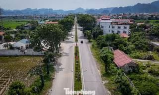 Ninh Bình yêu cầu khẩn trương tháo gỡ 'điểm nghẽn' cho 4 dự án giao thông trọng điểm 
