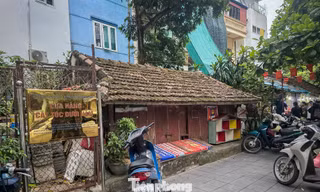 Nhiều di tích ở Ninh Bình 'kêu cứu'