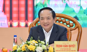 Giới thiệu Trưởng Ban Tuyên giáo và Dân vận Trung ương ứng cử đại biểu Quốc hội
