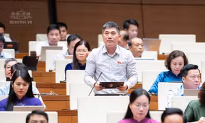 ‘Vách đá chính sách’ khiến nhiều doanh nghiệp chủ động giữ quy mô nhỏ