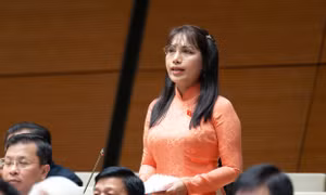Đại biểu Quốc hội lo ngại trẻ em ‘chìm trong thế giới ảo với tổng tài bá đạo’