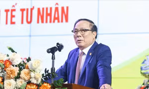Phát triển kinh tế tư nhân phải 'thật lòng đối đãi'
