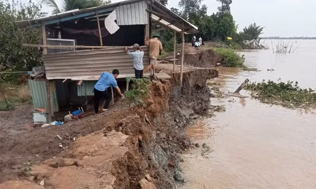 Hàng chục mét đê bao cồn Thanh Long liên tục sạt lở, gây nguy hiểm cho người dân và yêu cầu các giải pháp khẩn cấp tại Vĩnh Long.
