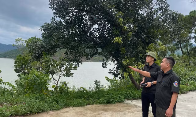 Quảng Ninh dùng 'mắt thần' bảo vệ những cánh rừng