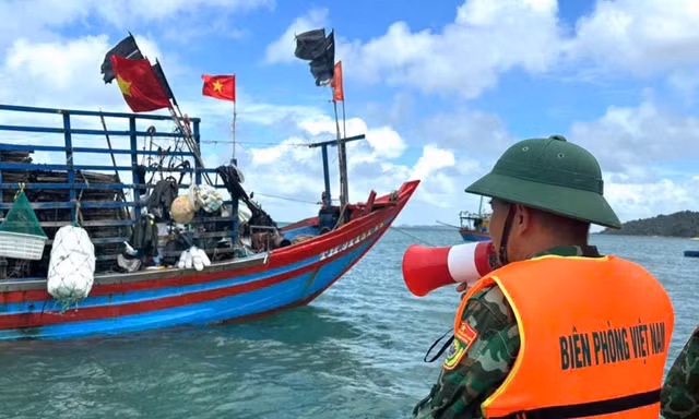 Bão số 4 áp sát, Quảng Ninh tạm dừng tham quan, lưu trú trên biển