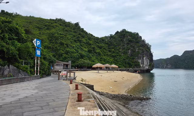 Rục rịch 'hồi sinh' bãi tắm Soi Sim sau bình chọn đẹp nhất thế giới 