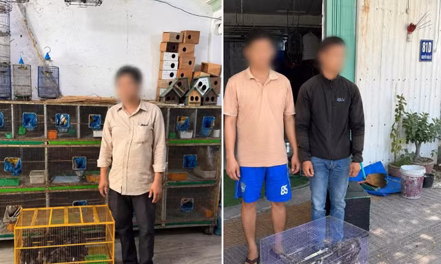 Công an phát hiện 290 chim cảnh không rõ nguồn gốc