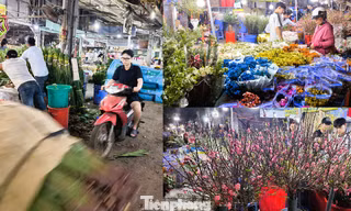 Chợ hoa tươi Đầm Sen sáng đèn xuyên đêm, tấp nập những ngày giáp Tết Bính Ngọ
