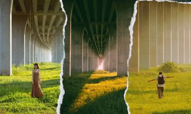 Lạc vào chốn “tuyệt đối điện ảnh” tại Đồng Tháp: Đồng cỏ xanh mướt đẹp ngỡ ngàng
