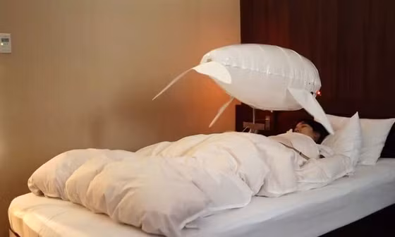 Robot đồng hành biết bay