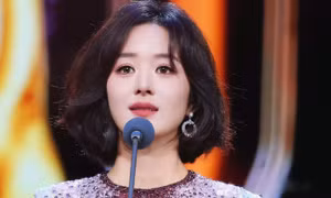 Triệu Lệ Dĩnh sau tin giải nghệ