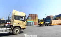 Đà Nẵng phát triển dịch vụ logistics theo hướng xanh, bền vững