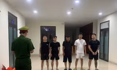 Đà Nẵng triệt phá đường dây giả danh Huấn Hoa Hồng, lừa đảo cho vay online