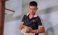Bỏ phố về quê, chàng trai ở Gia Lai biến ý tưởng vu vơ thành sinh kế