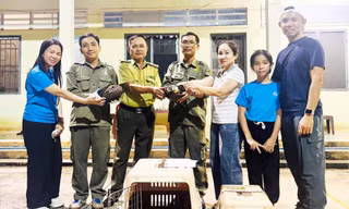 Hai hộ dân giao nộp cá thể động vật rừng quý hiếm