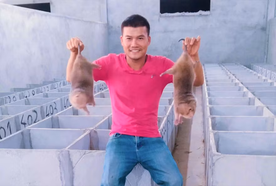 Anh Trường và sản phẩm dúi