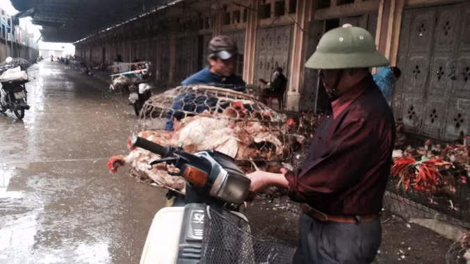 Chợ gia cầm Hà Vỹ ảnh chụp ngày 4/2. Ảnh: Tú Anh