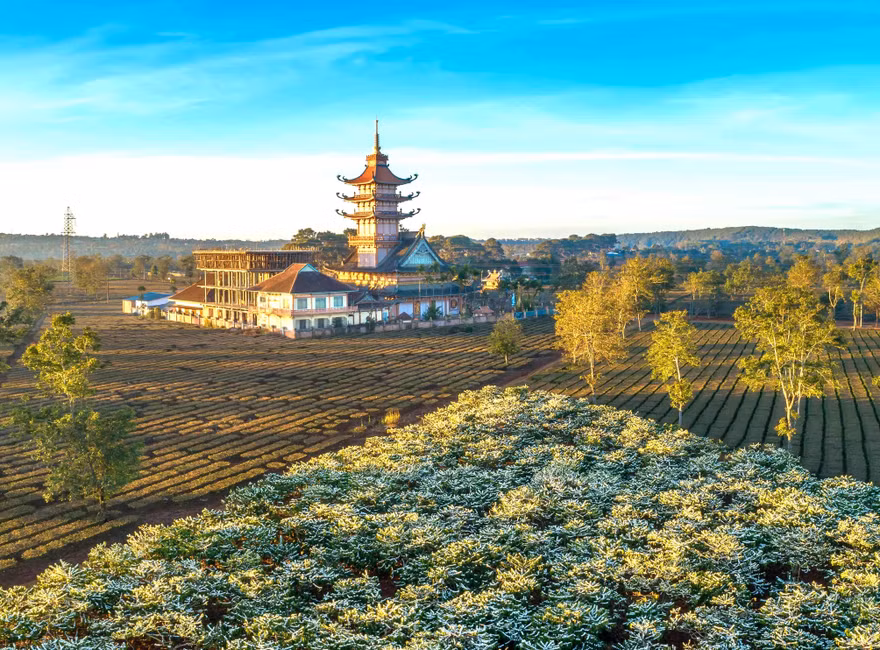 Chùa Bửu Minh từ trên cao Ảnh: Phan Nguyên