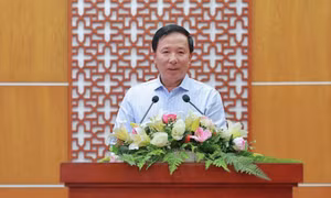 Ông Nguyễn Văn Út tái đắc cử Chủ tịch UBND tỉnh Đồng Nai nhiệm kỳ 2026 - 2031
