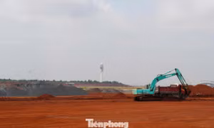 Đồng Nai đưa hàng trăm ha đất 'vàng' vào kế hoạch đấu giá