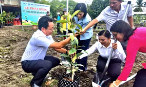 TPHCM phát động Tết trồng cây mừng sinh nhật Bác