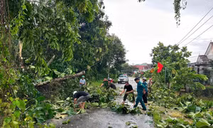 Đồng Nai chủ động ứng phó mưa lũ, áp thấp nhiệt đới trong dịp nghỉ lễ 